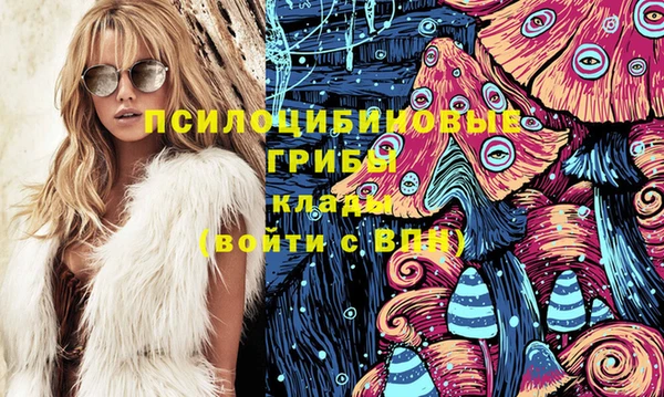 apvp Коряжма