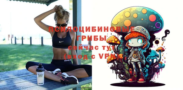 apvp Коряжма