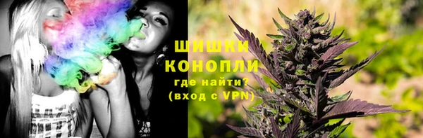 ГАЛЛЮЦИНОГЕННЫЕ ГРИБЫ Костерёво