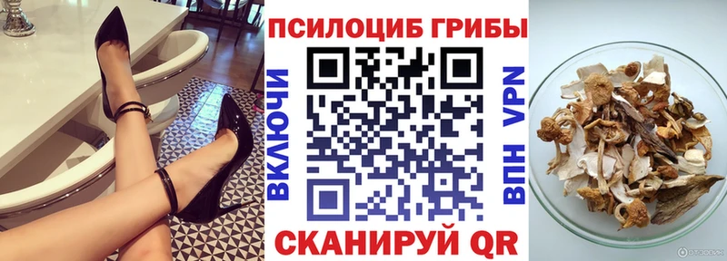 закладки  Ухта  Псилоцибиновые грибы ЛСД 