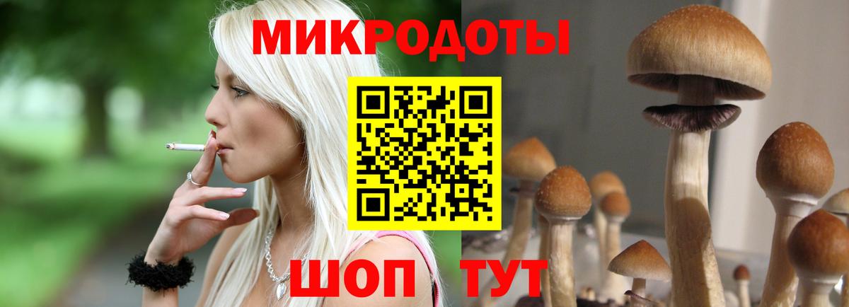 Ухта  Псилоцибиновые грибы Psilocybe  Вход с VPN 